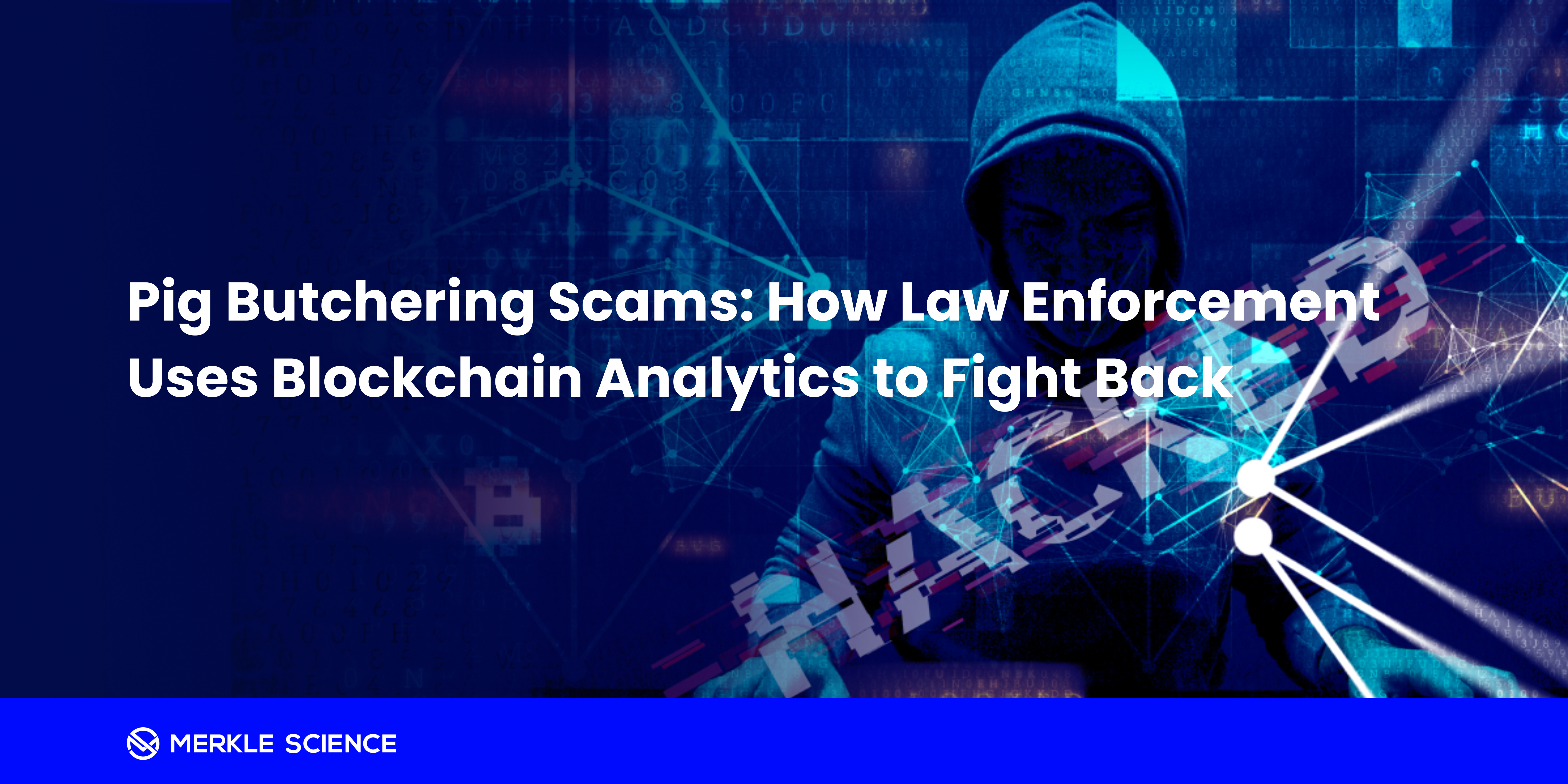 Pig Butchering Scams: How Law Enforcement Uses Blockchain Analytics to Fight Back