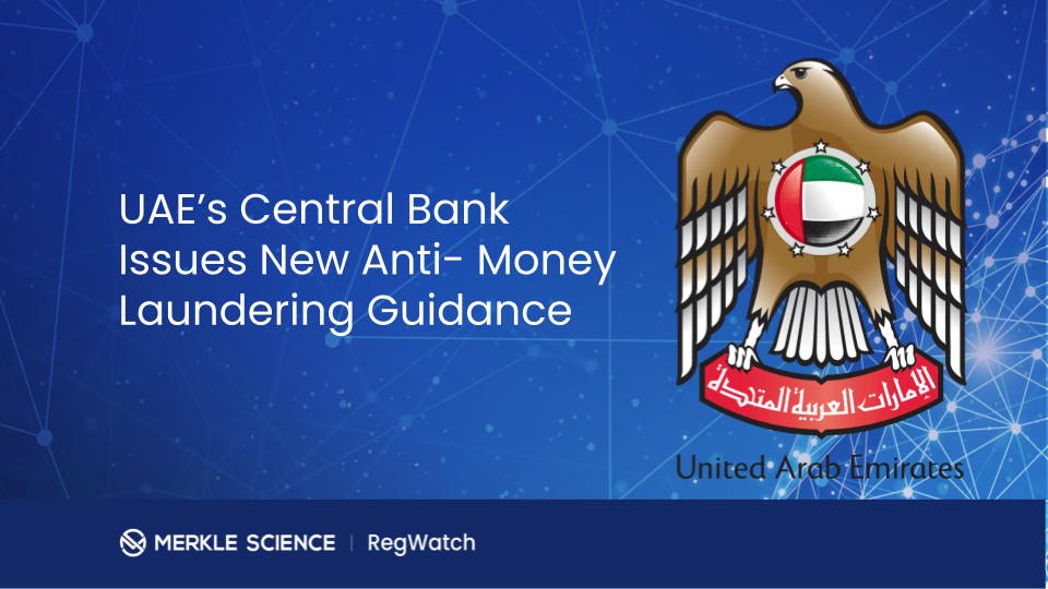 UAE Introduces New Measures to Strengthen its AML Regime